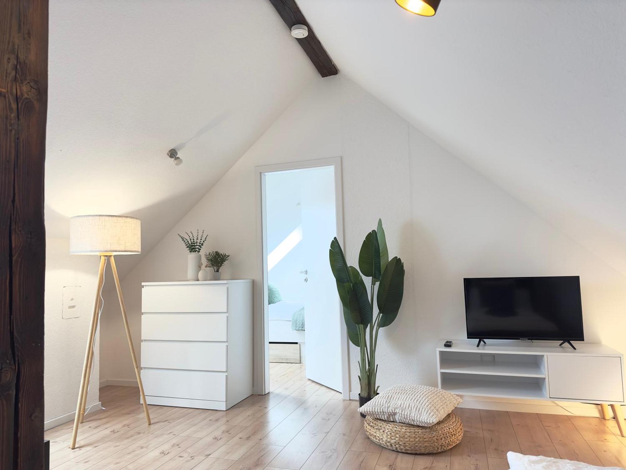 Grosses Maisonette Apartment I Top Lage I Prime Heidelberg Luaran gambar
